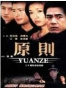 电视剧原则,揭秘影视制作背后的艺术与技巧